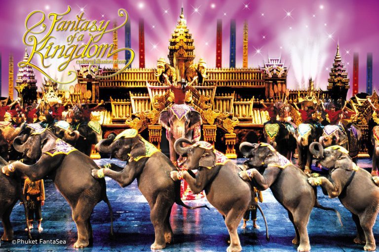 فنتازيا بوكيت